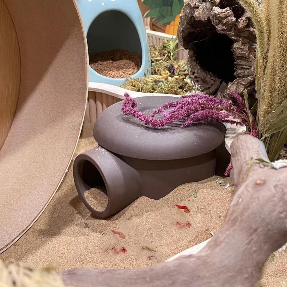 DR.DUDU habitat propre grace au bain et entretien