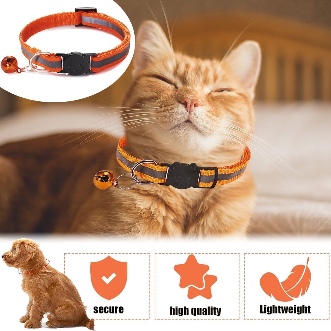 Collier DreamAug réfléchissant améliore la visibilité nocturne de votre chat.