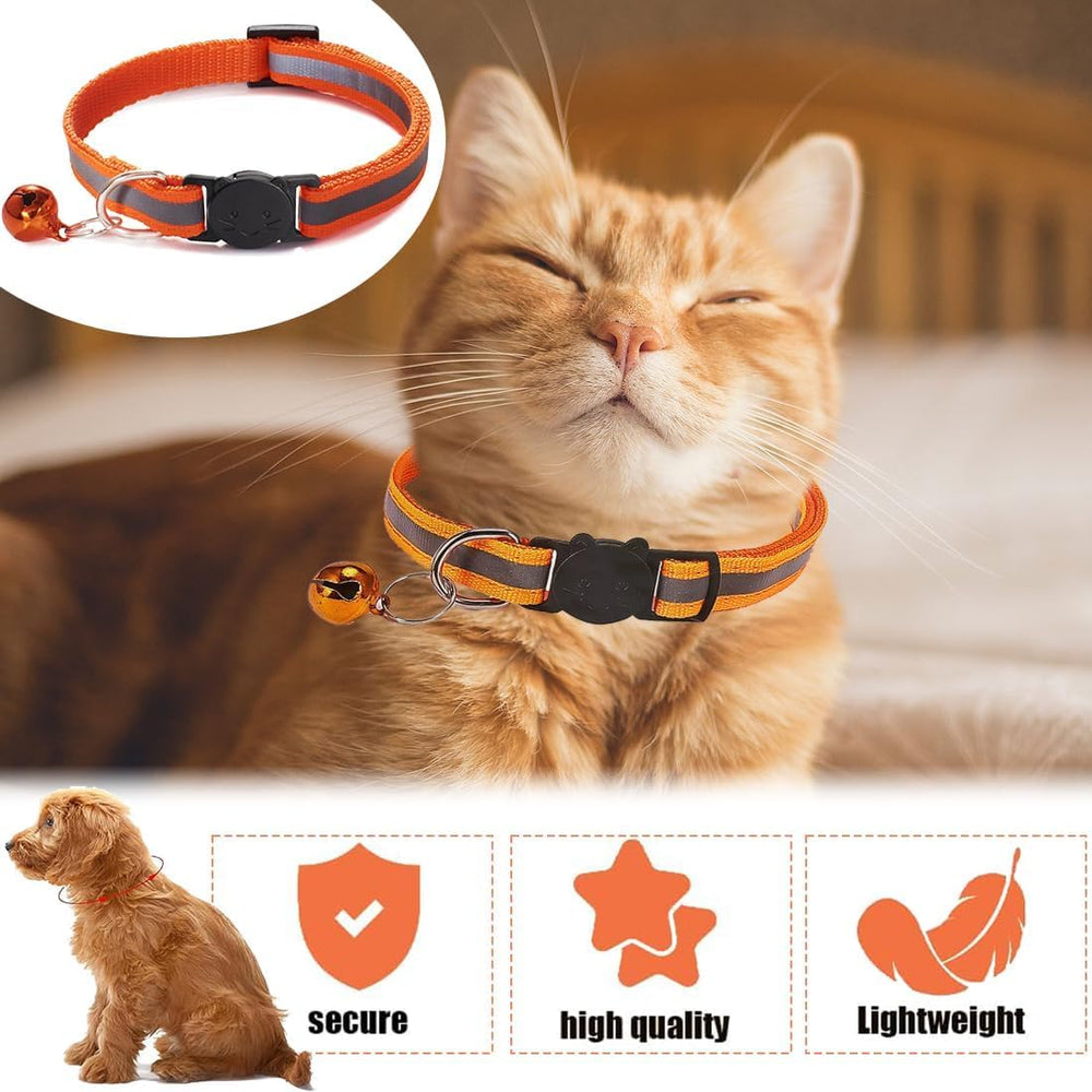 Collier DreamAug réfléchissant améliore la visibilité nocturne de votre chat.