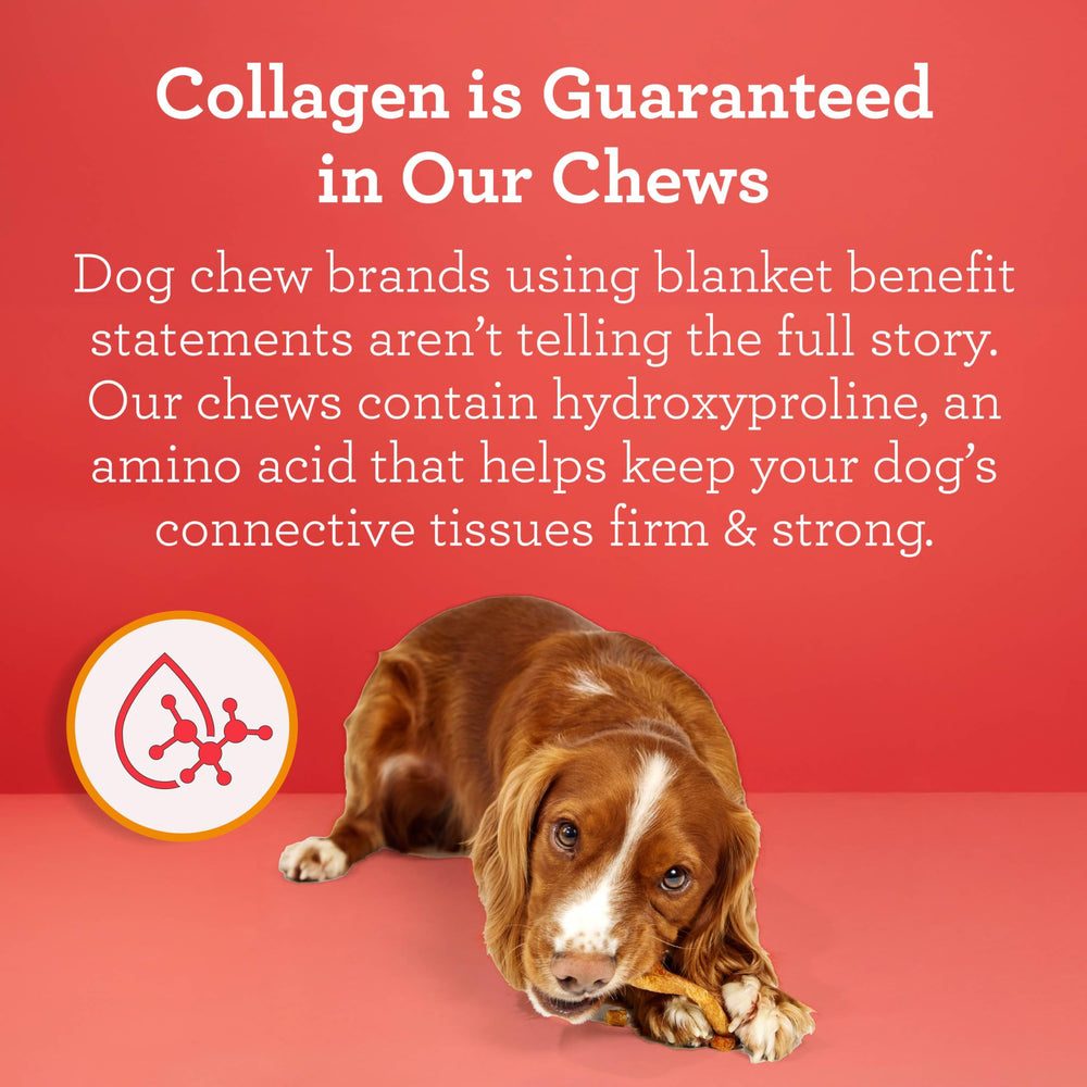 DreamBone CollaYUMS Twists pour chiens adultes, dégustation agréable