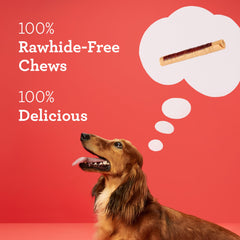 DreamBone DreamSticks enrichies en vitamines et minéraux pour chiens actifs