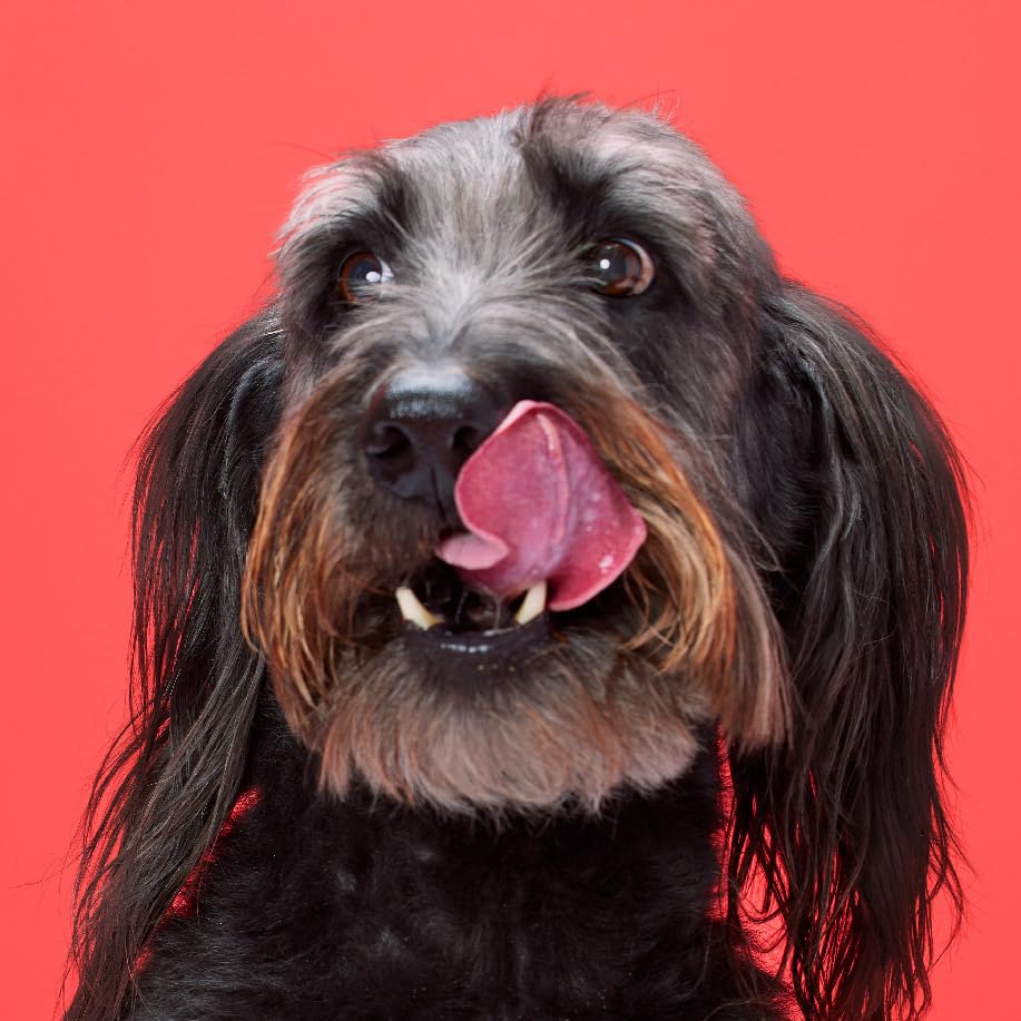 DreamBone Twist Sticks pour chien moyen, parfaite pour récompense et jeu.