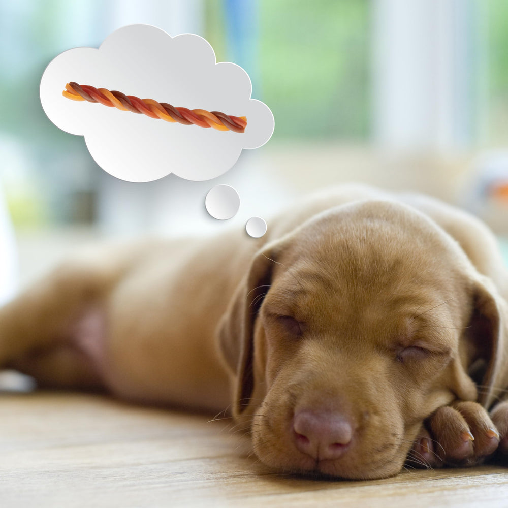 DreamBone Twisties enrichies en vitamines et minéraux pour un complément nutritionnel.