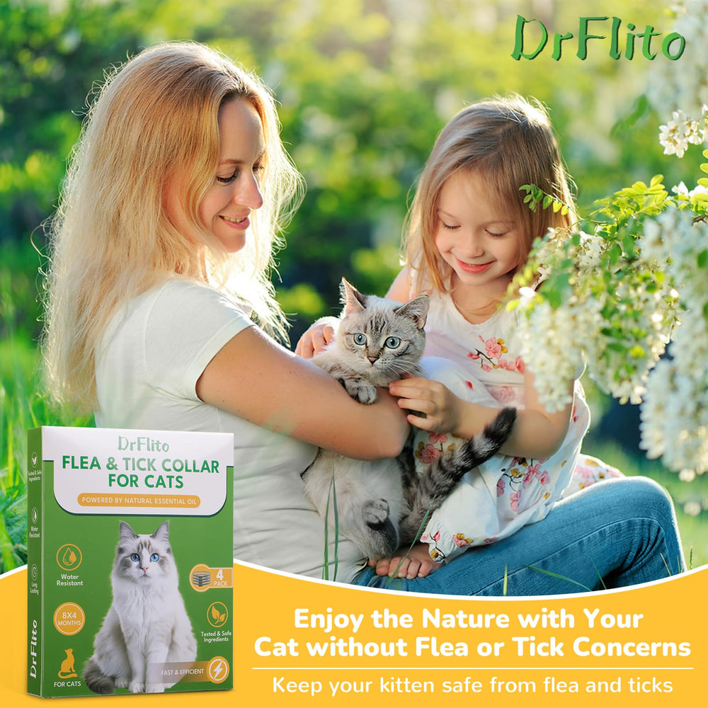 Conception confortable et antiglisse pour chats actifs.