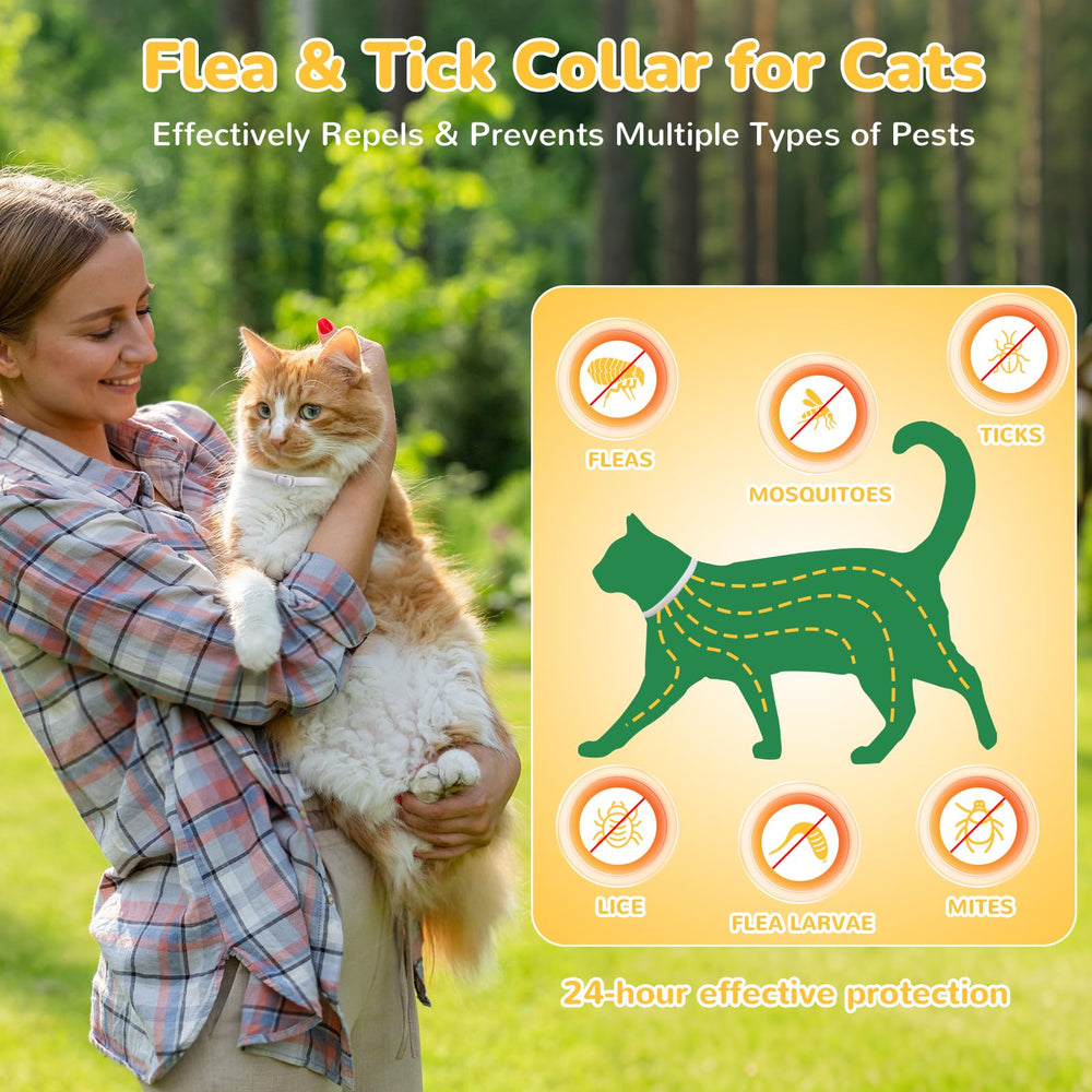 Pack de quatre colliers DrFlito pour chats.