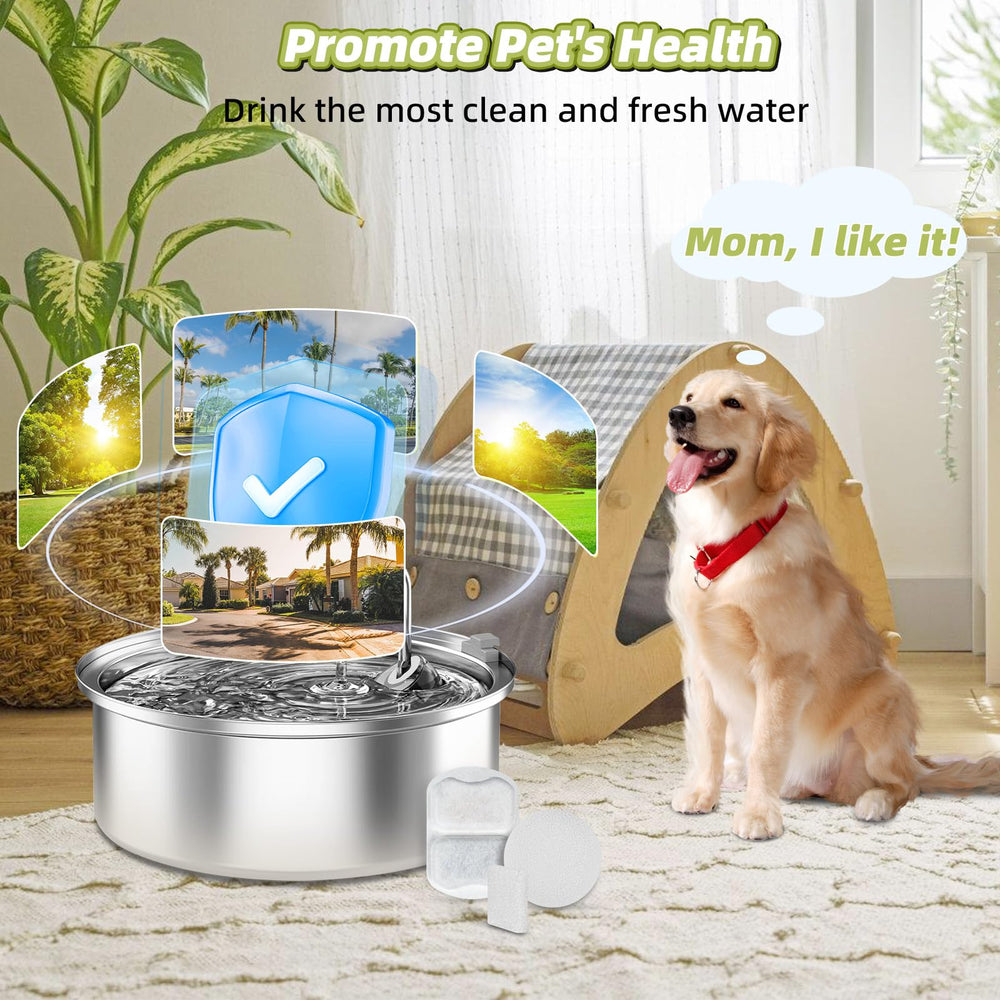 DrFlito kit remplacement filtre eau chien pour un débit constant.