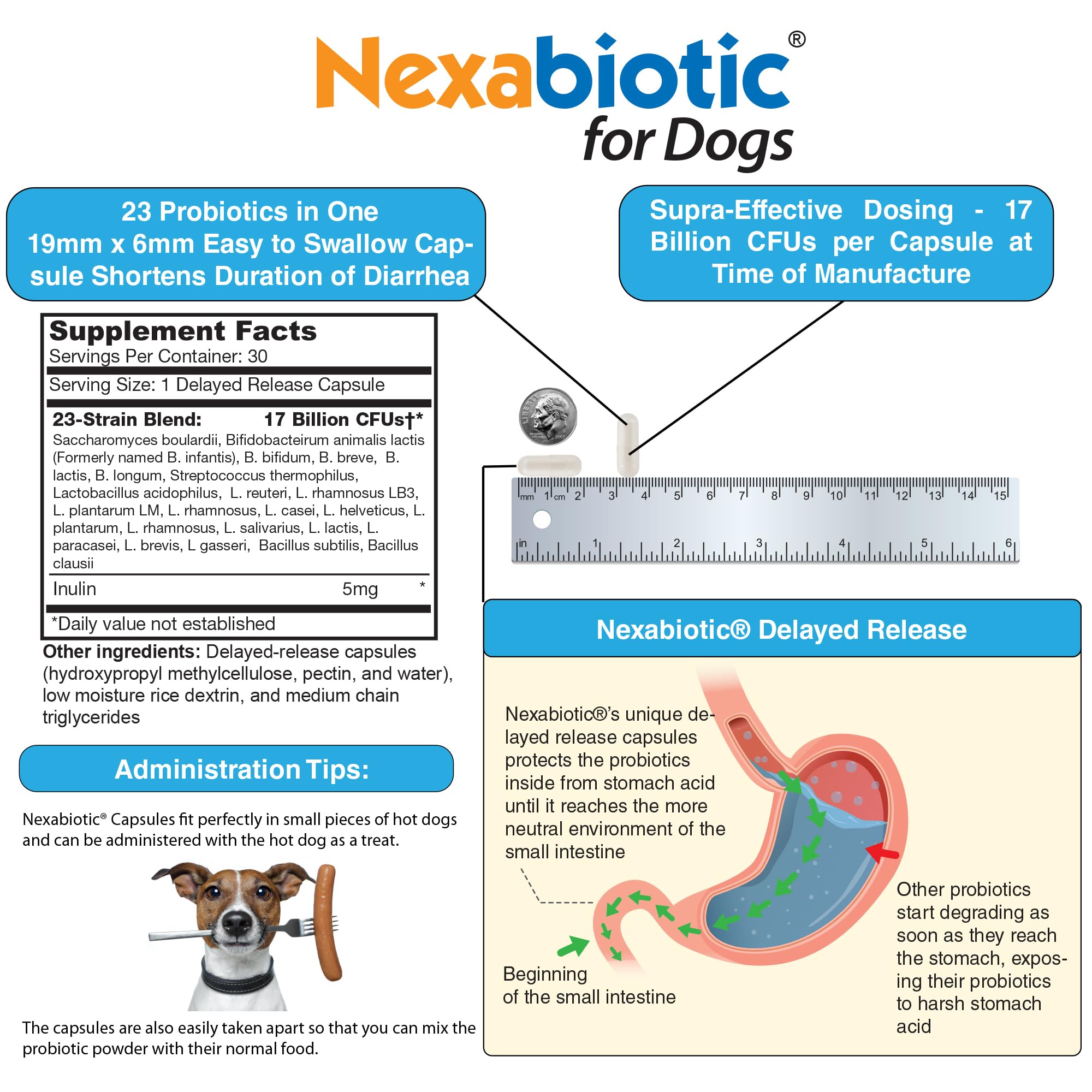DrFormulas Nexabiotic – 30 doses faciles à administrer pour chiens et chiots.