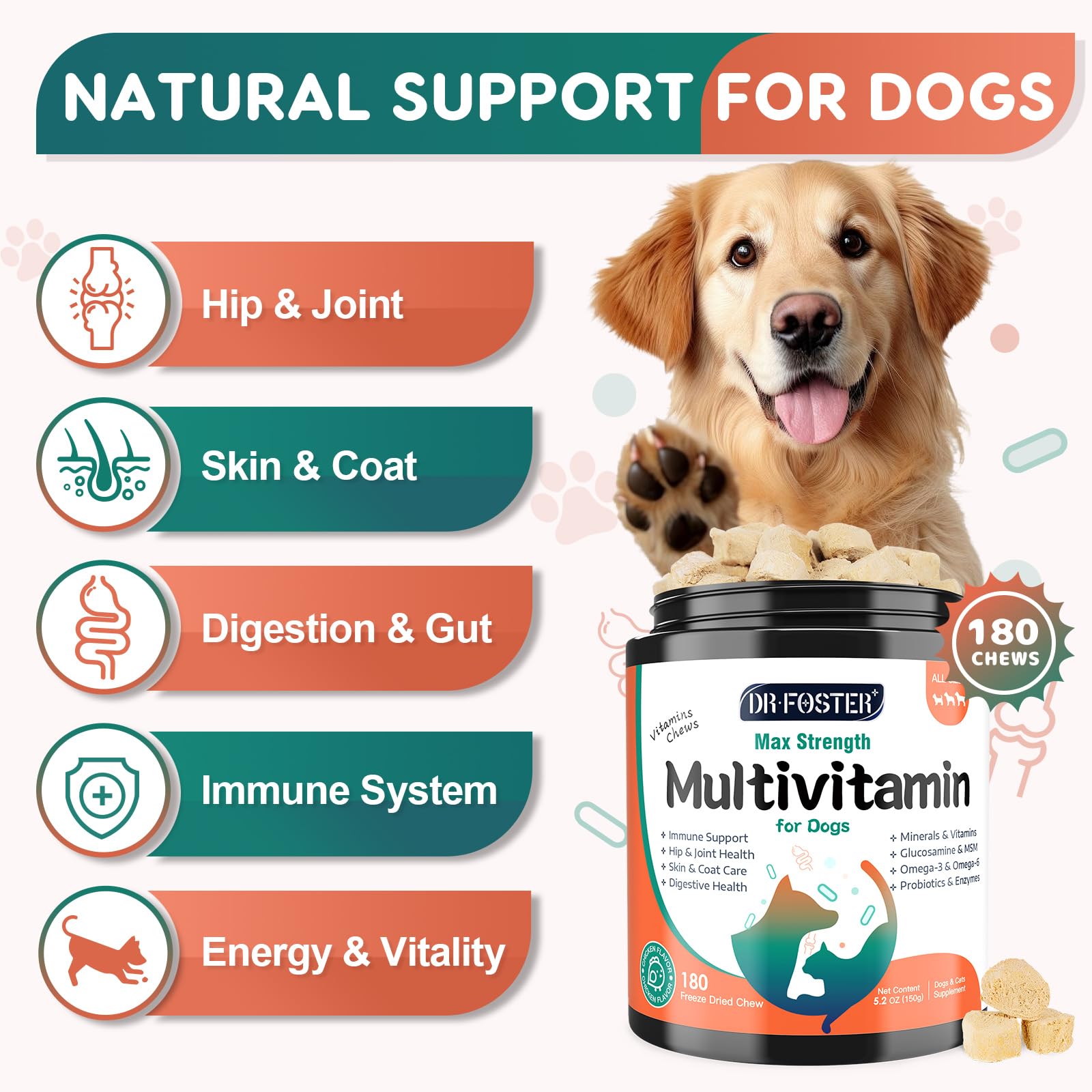 DRFOSTER: bouchées digestion chien pour équilibre intestinal
