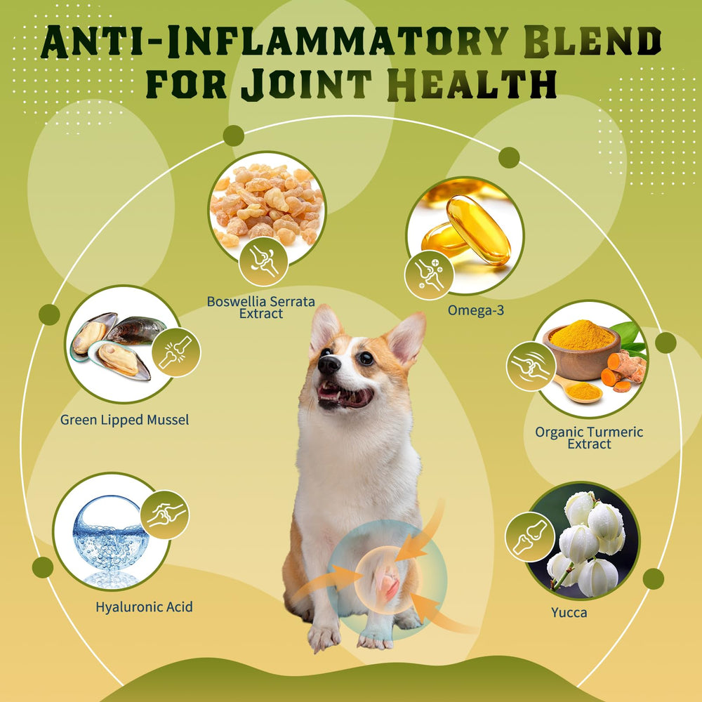 DRFOSTER Glucosamine pour chiens: bouchées poulet lyophilisées appétentes