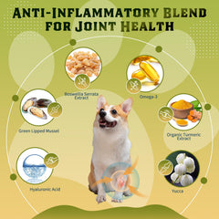 DRFOSTER Glucosamine pour chiens: bouchées poulet lyophilisées appétentes