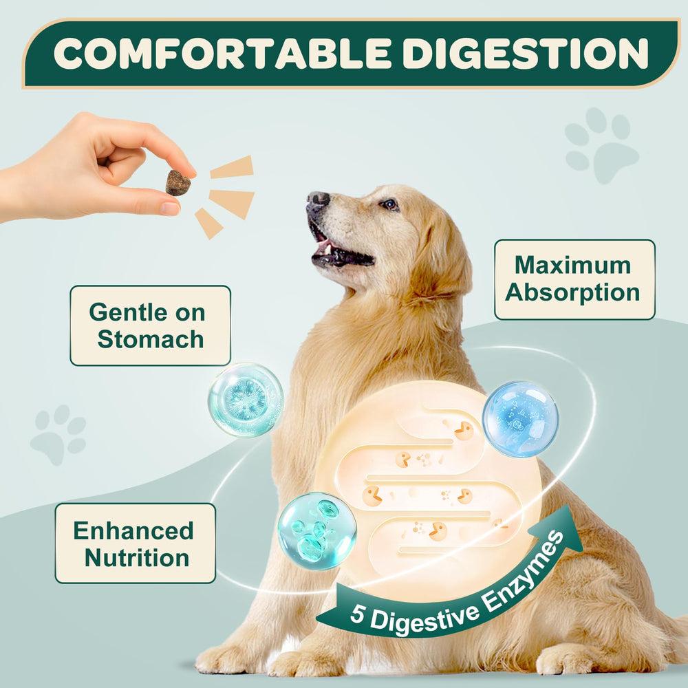 DRFOSTER Glucosamine pour chiens – chien heureux mâchant une bouchée, soutien possible des articulations.