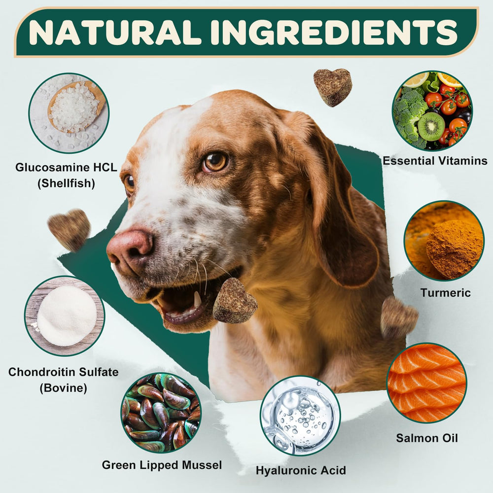 DRFOSTER Glucosamine pour chiens – bouchées poulet, saveur naturelle qui plait aux chiens.