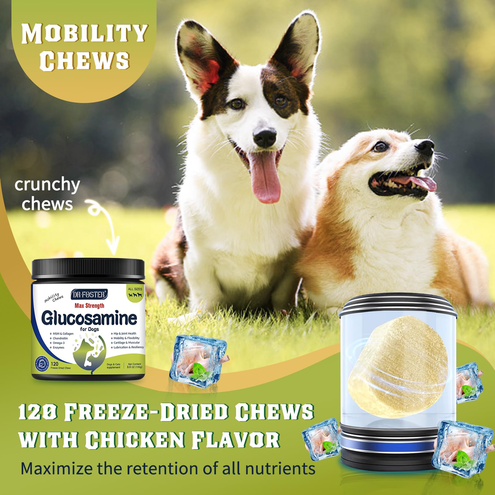 DRFOSTER Glucosamine pour chiens: mobilité quotidienne et articulations flexibles