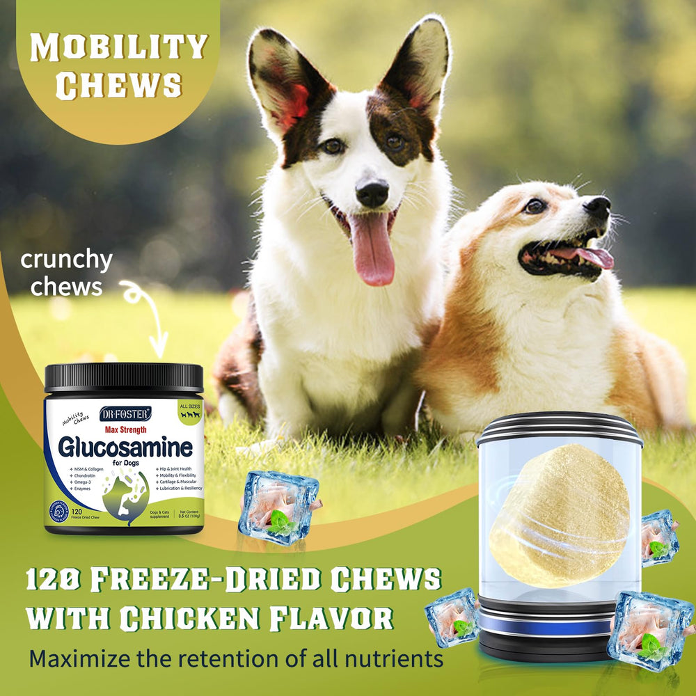 DRFOSTER Glucosamine pour chiens: mobilité quotidienne et articulations flexibles