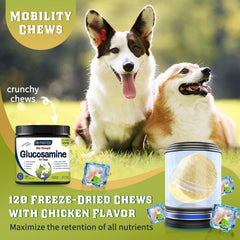 DRFOSTER Glucosamine pour chiens: mobilité quotidienne et articulations flexibles