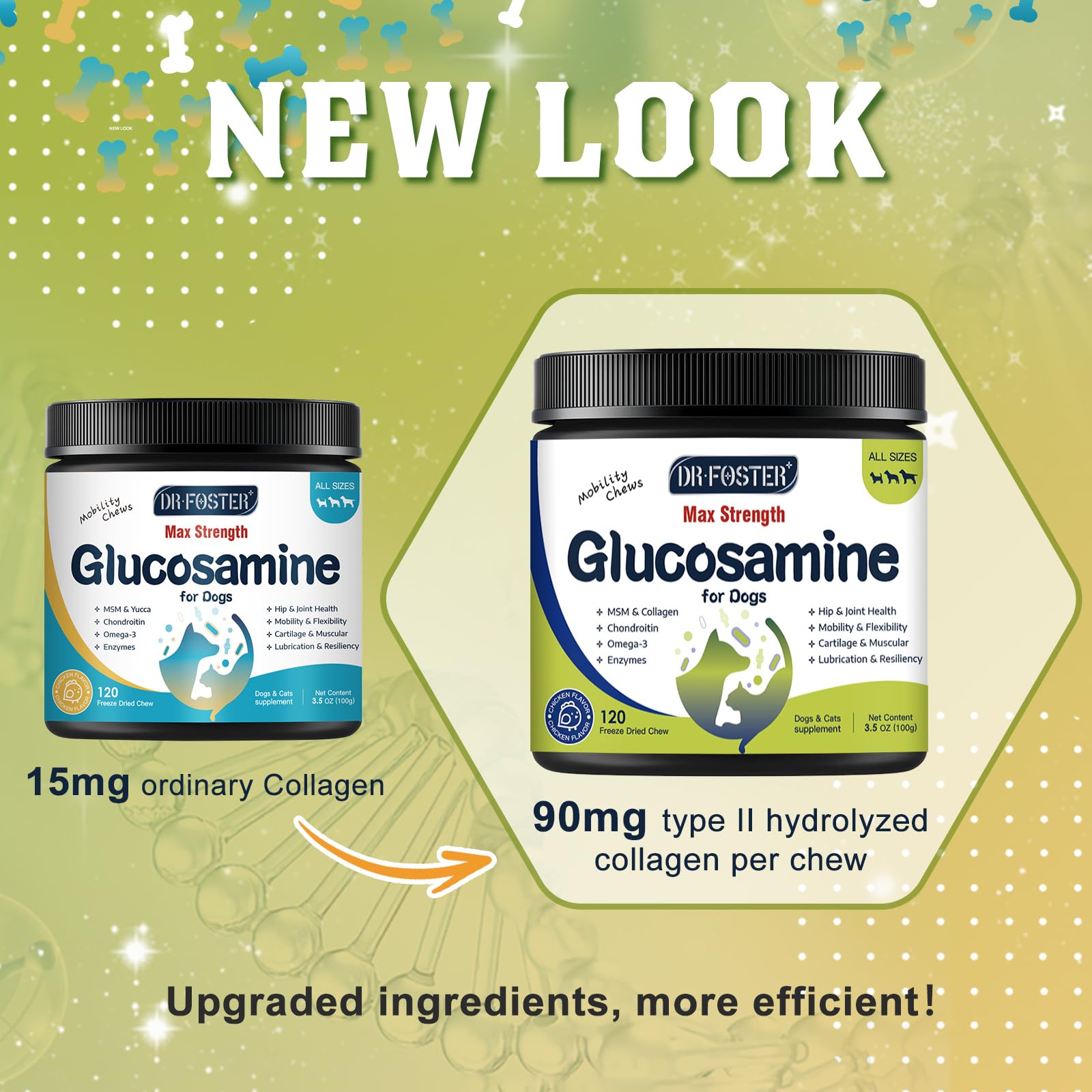 DRFOSTER Glucosamine pour chiens: enzymes digestives améliorant l’absorption