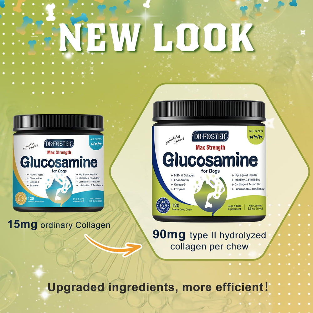 DRFOSTER Glucosamine pour chiens: enzymes digestives améliorant l’absorption