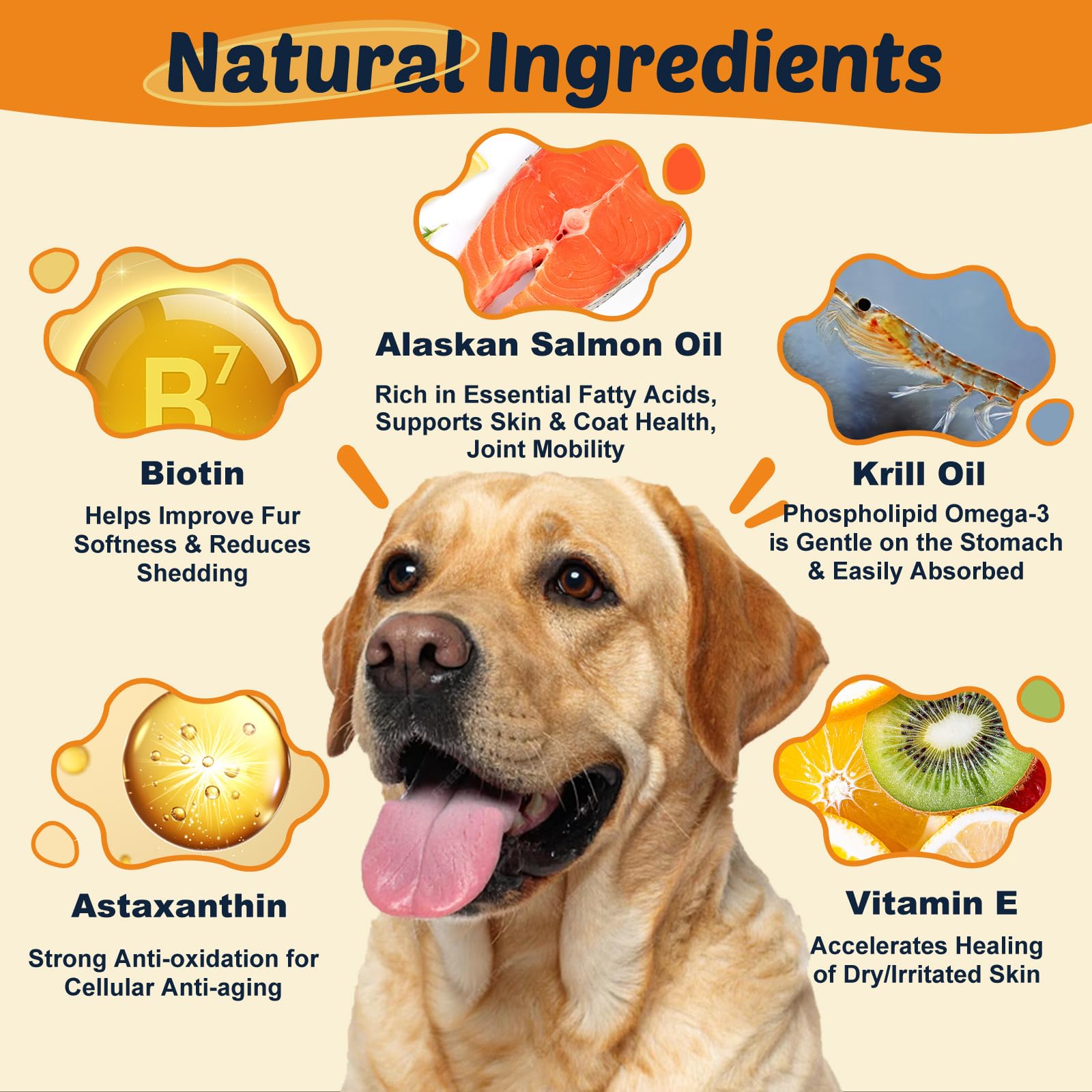 DRFOSTER gommes chien omega3 — friandises appétentes favorisant mobilité et peau saine.