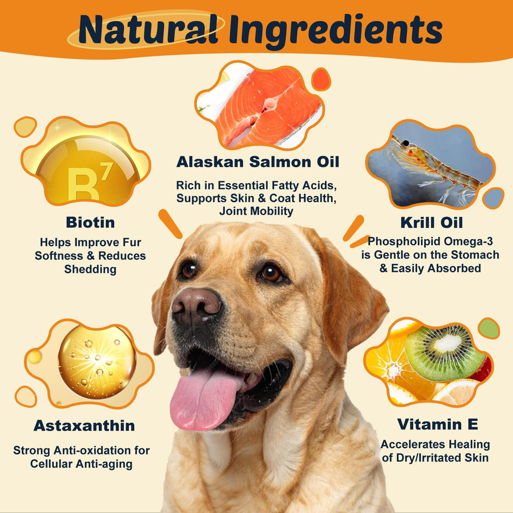 DRFOSTER gommes chien omega3 — friandises appétentes favorisant mobilité et peau saine.