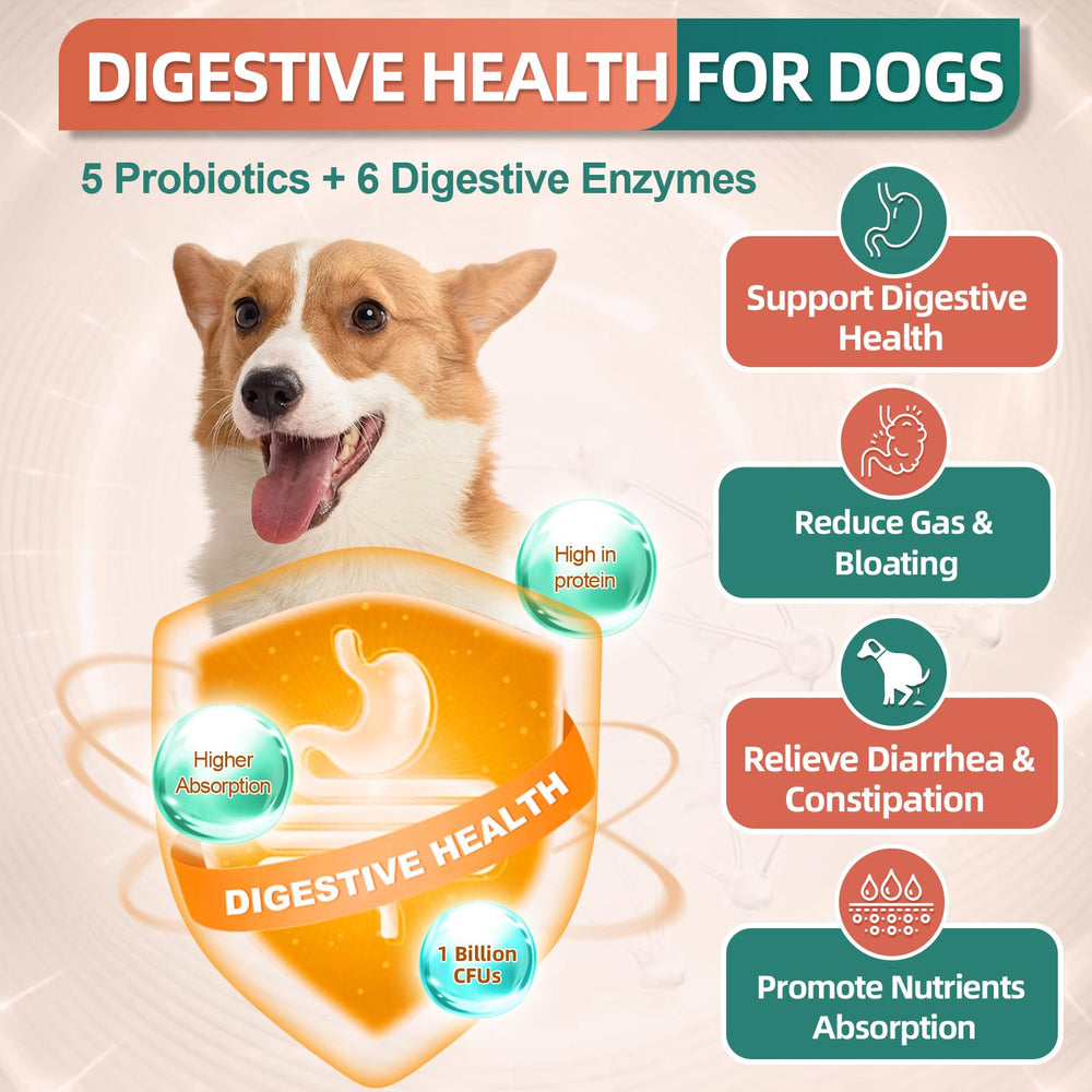 DRFOSTER: omega3 chien bouchées pour peau et énergie
