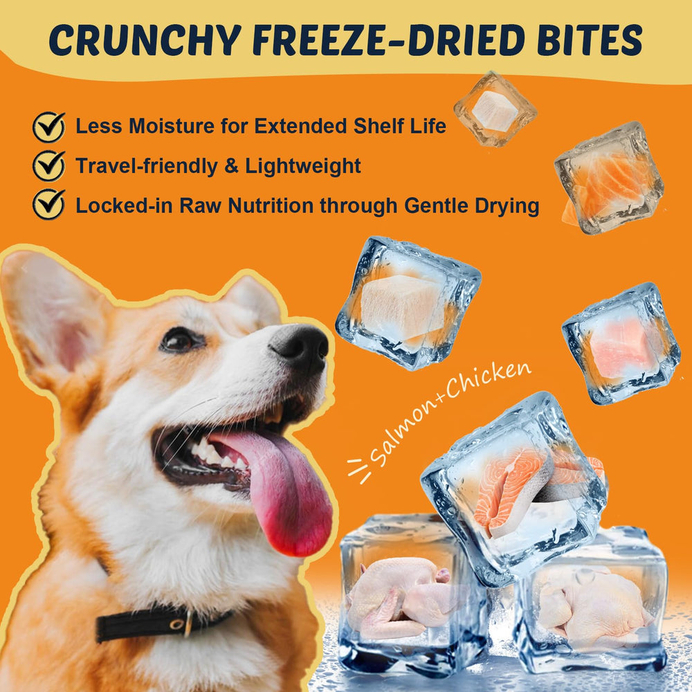 DRFOSTER poil-brillant-chien — pelage éclatant grâce à l'huile riche en Omega3.