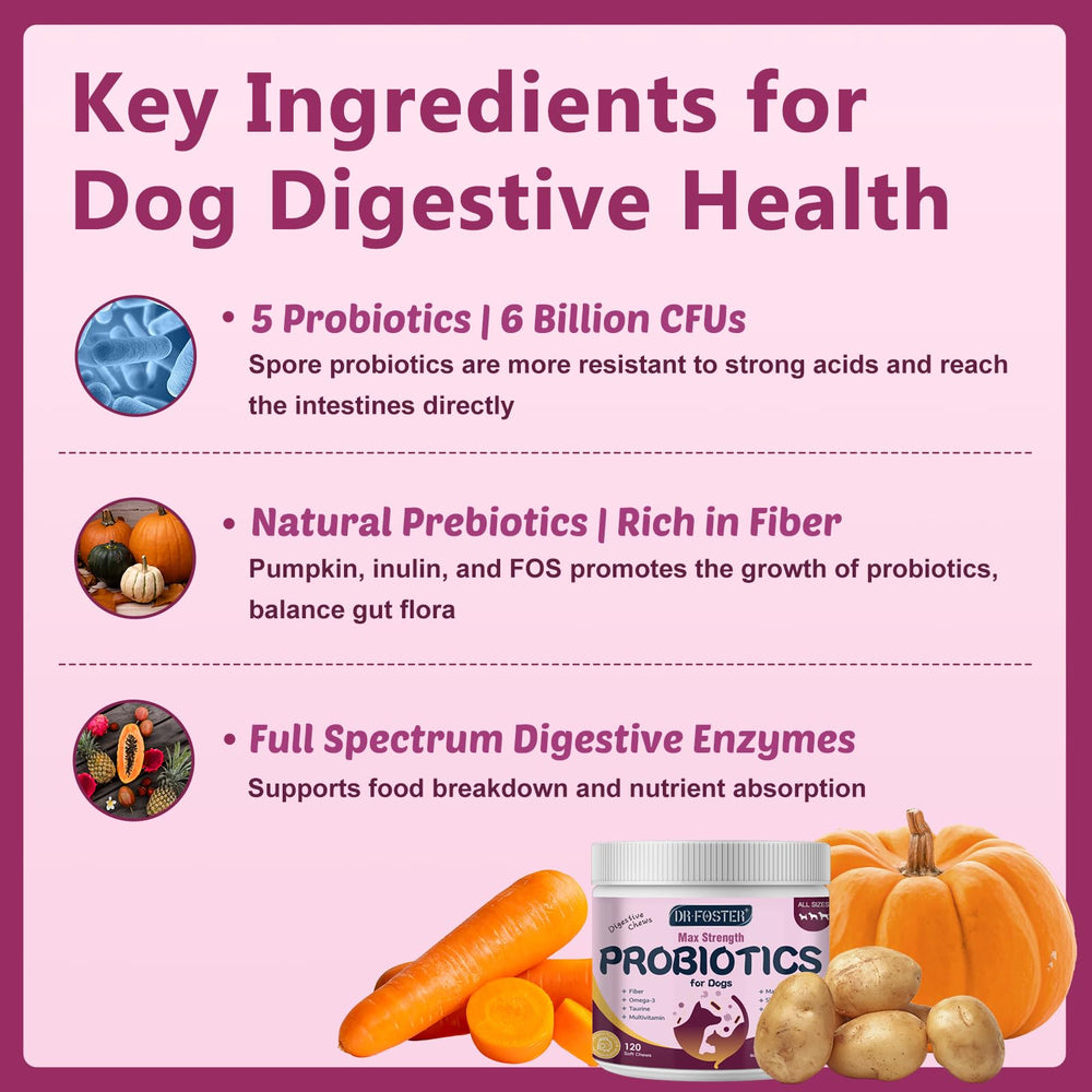 DRFOSTER bouchées chien, immunité et énergie grâce à taurine.