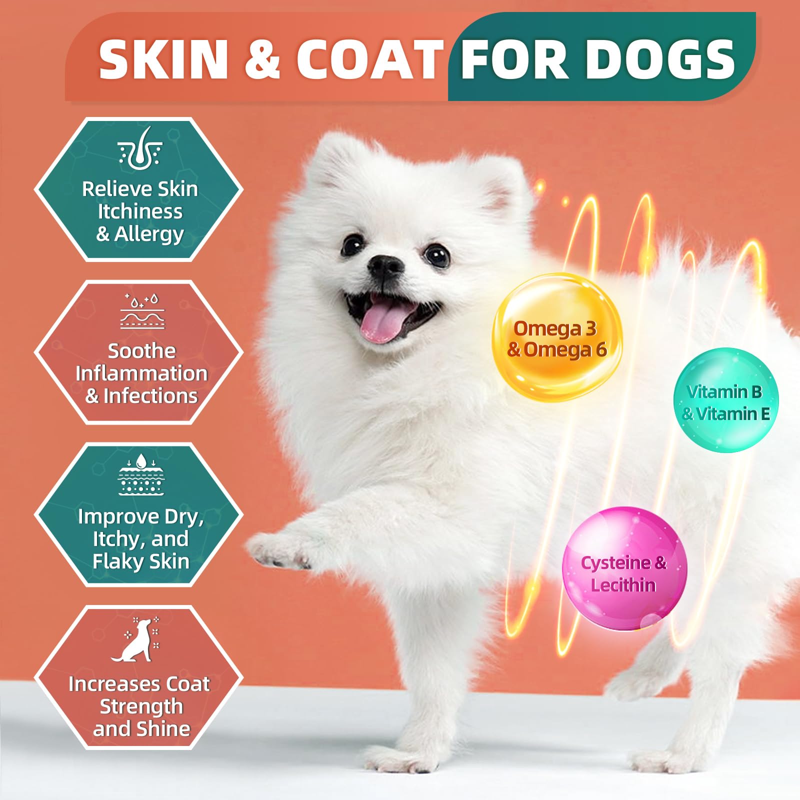 DRFOSTER: probiotiques chien bouchées digestion équilibrée