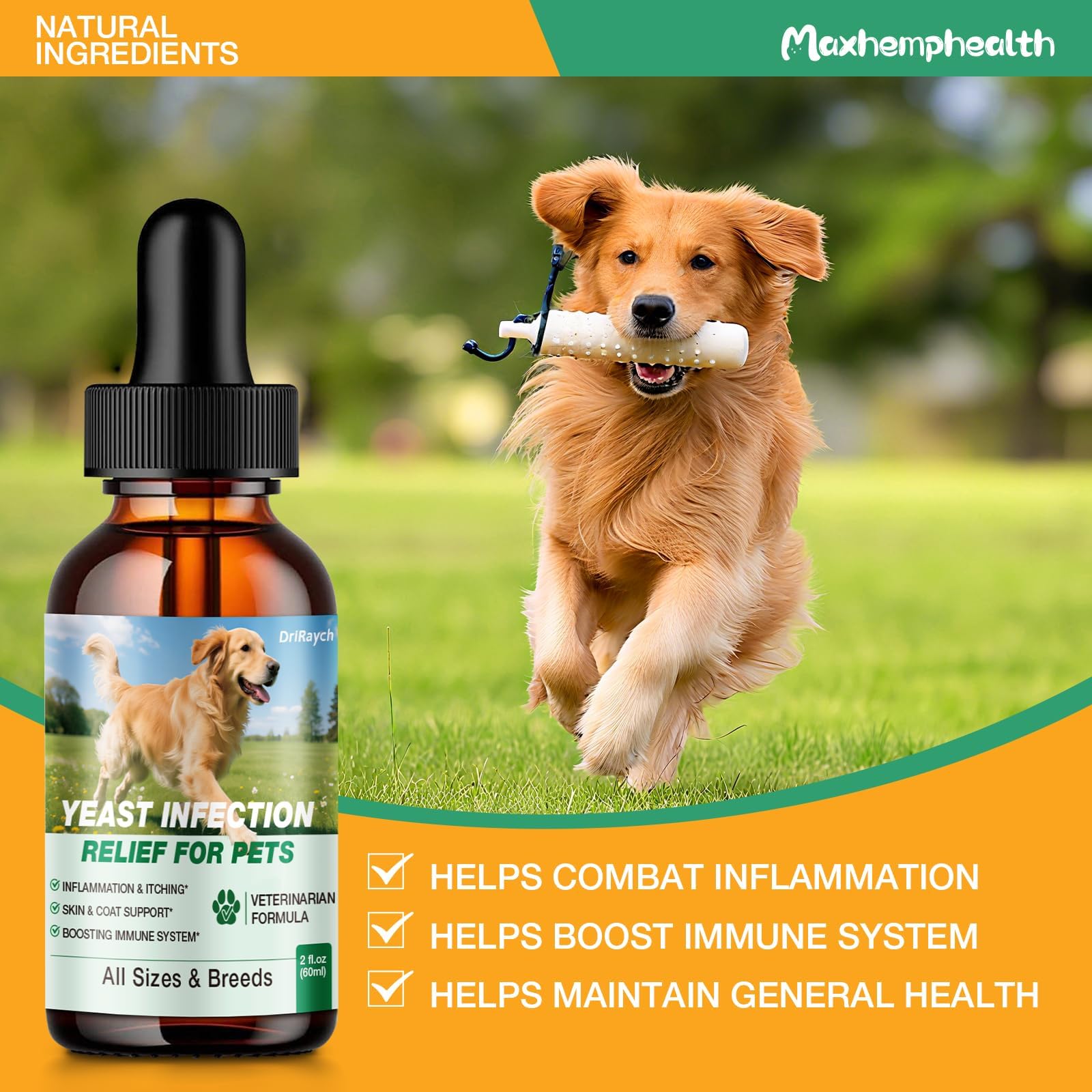 DriRaych routine quotidienne simple et pratique pour le chien.