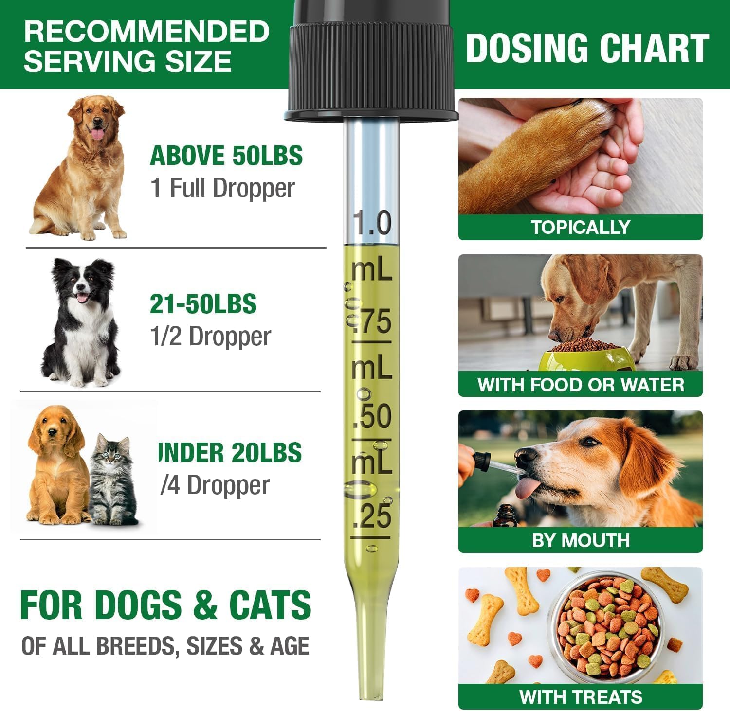 Chien et chat en voyage utilisant Drloton pour le calme