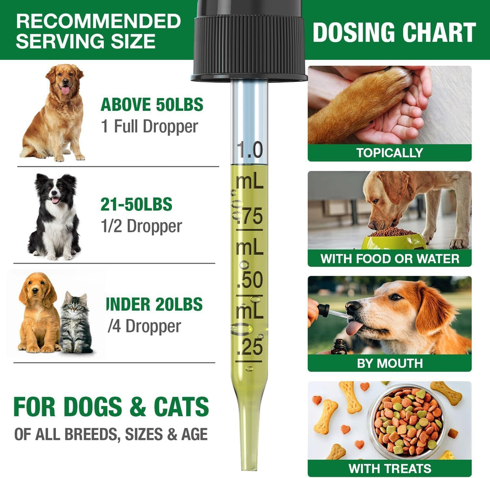 Chien et chat en voyage utilisant Drloton pour le calme