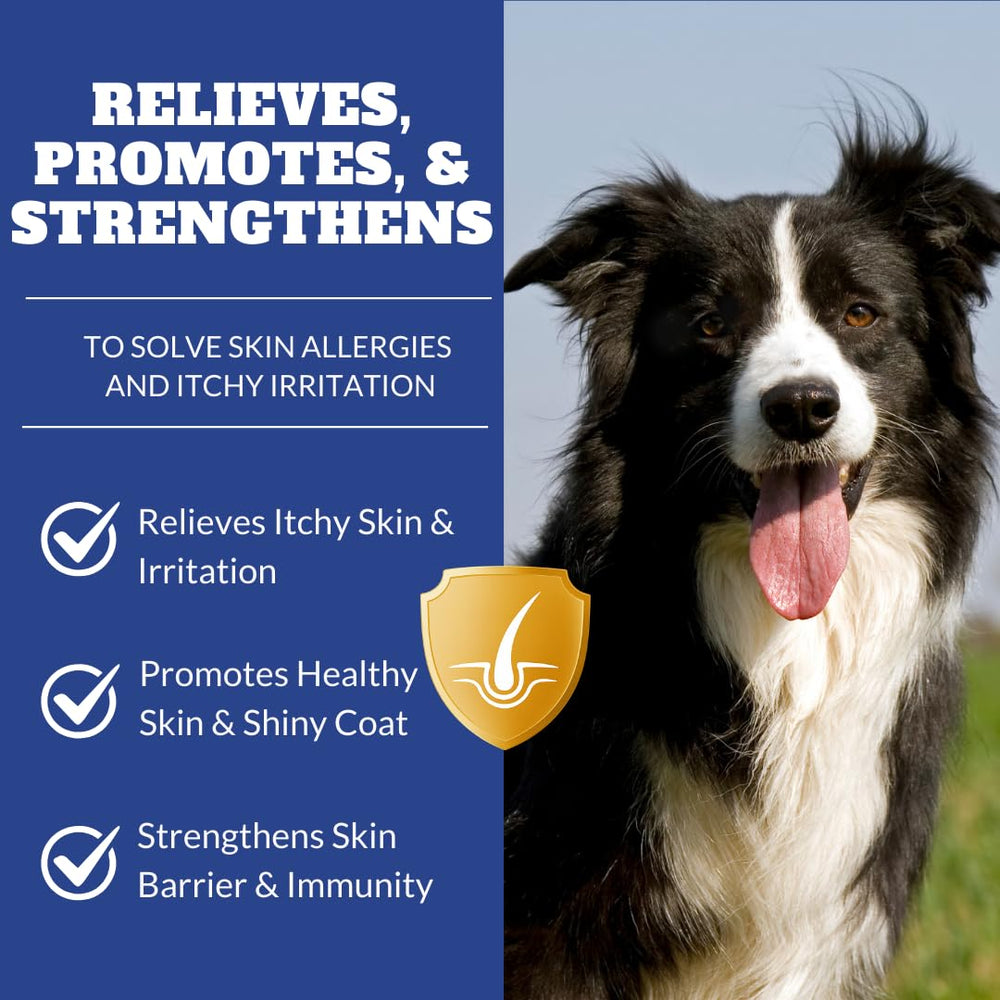 DRMOIS Gommes: peau saine et pelage brillant chez chiens et chats.