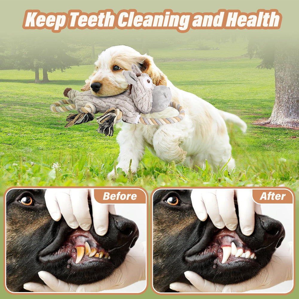 Drmstow jouet chien mastication avec corde robuste