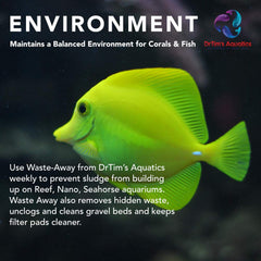 DrTim’s Waste-Away Reef — avant/après, affichage plus clair après utilisation.