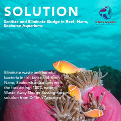 Waste-Away Reef — zones à faible débit identifiées, amélioration du flux potentiel.