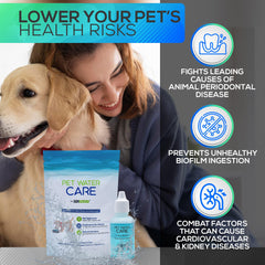 Dry Element Pet Water Care – bol d’eau propre grâce à l’ajout quotidien