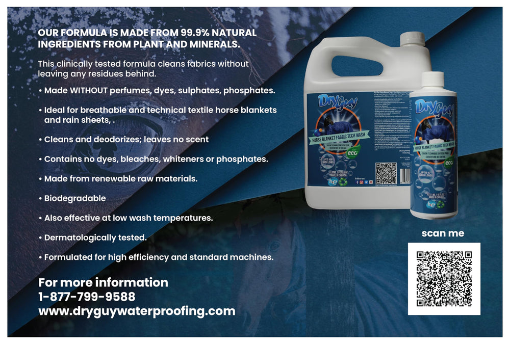Impermabilite restaurée sur tapis après lavage Dry Guy Waterproofing