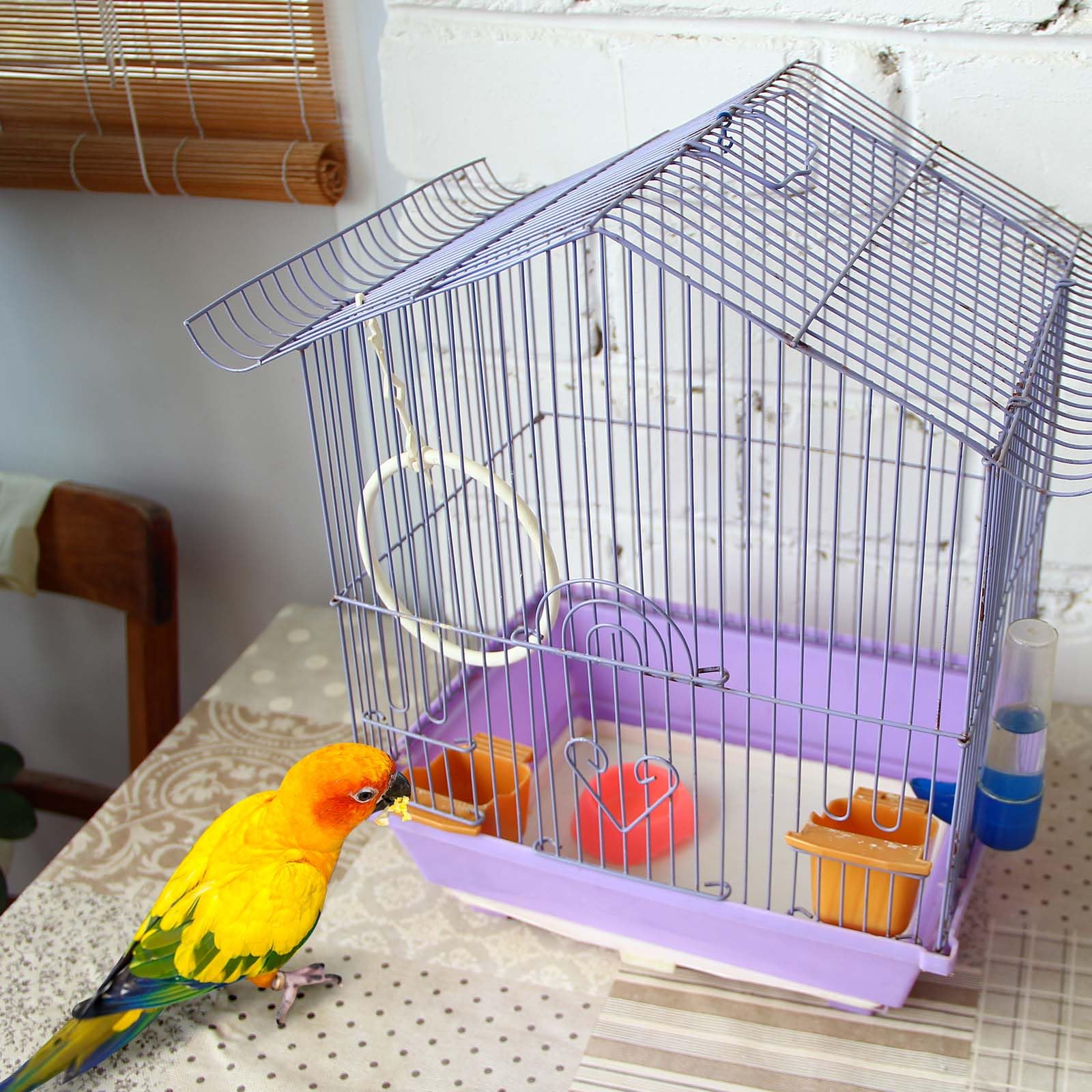 Drydiet liner-cage jetable facilitant les remplacements quotidiens.