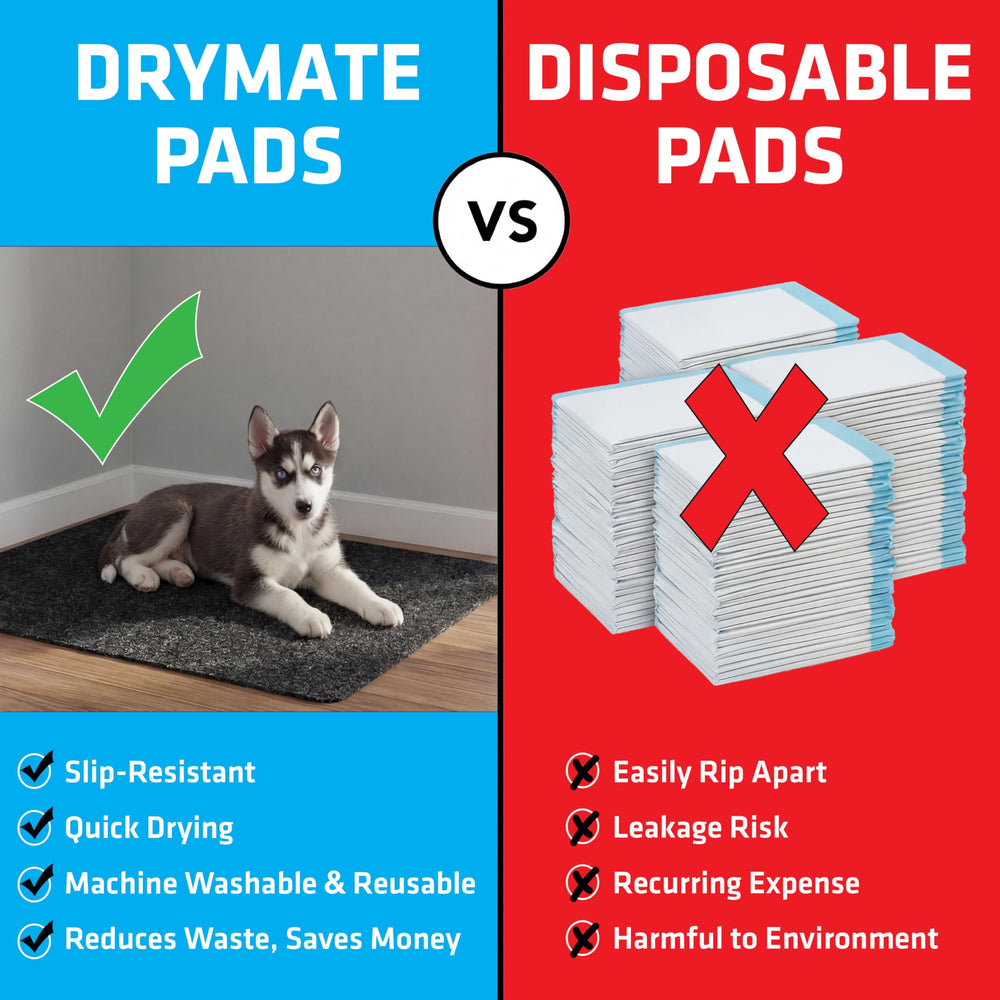 Drymate Jumbo – solution multi-usages pour entraînement et propreté.