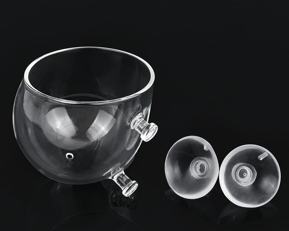 Accessoires déco DS Distinctive Style pour aquarium, tasses pour plantes