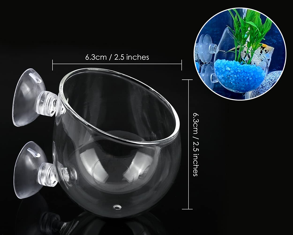 DS Distinctive Style tasse plante aquatique en verre cristal avec ventouse