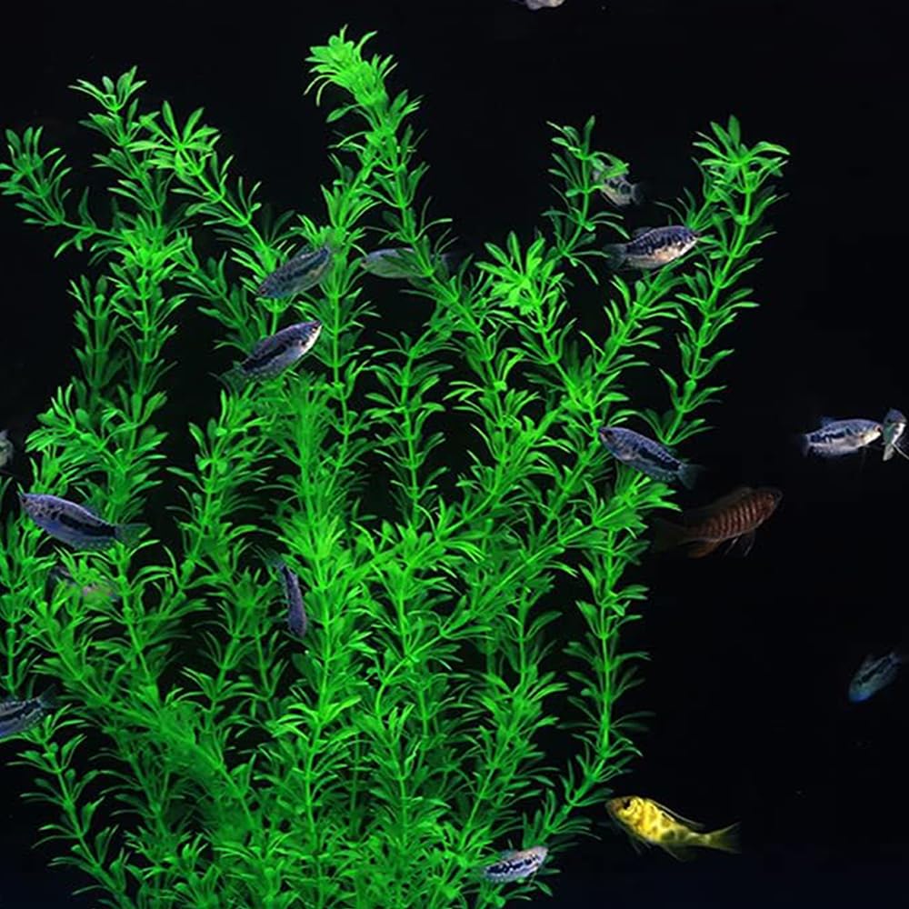 dskoiph décoration plante aquarium artistique verte, effet naturel améliorant l'ambiance du réservoir.
