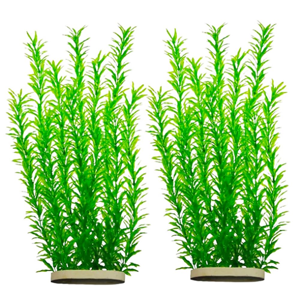 dskoiph plante aquarium silhouette verte, apporte hauteur et couleur pour un aquascaping facile.
