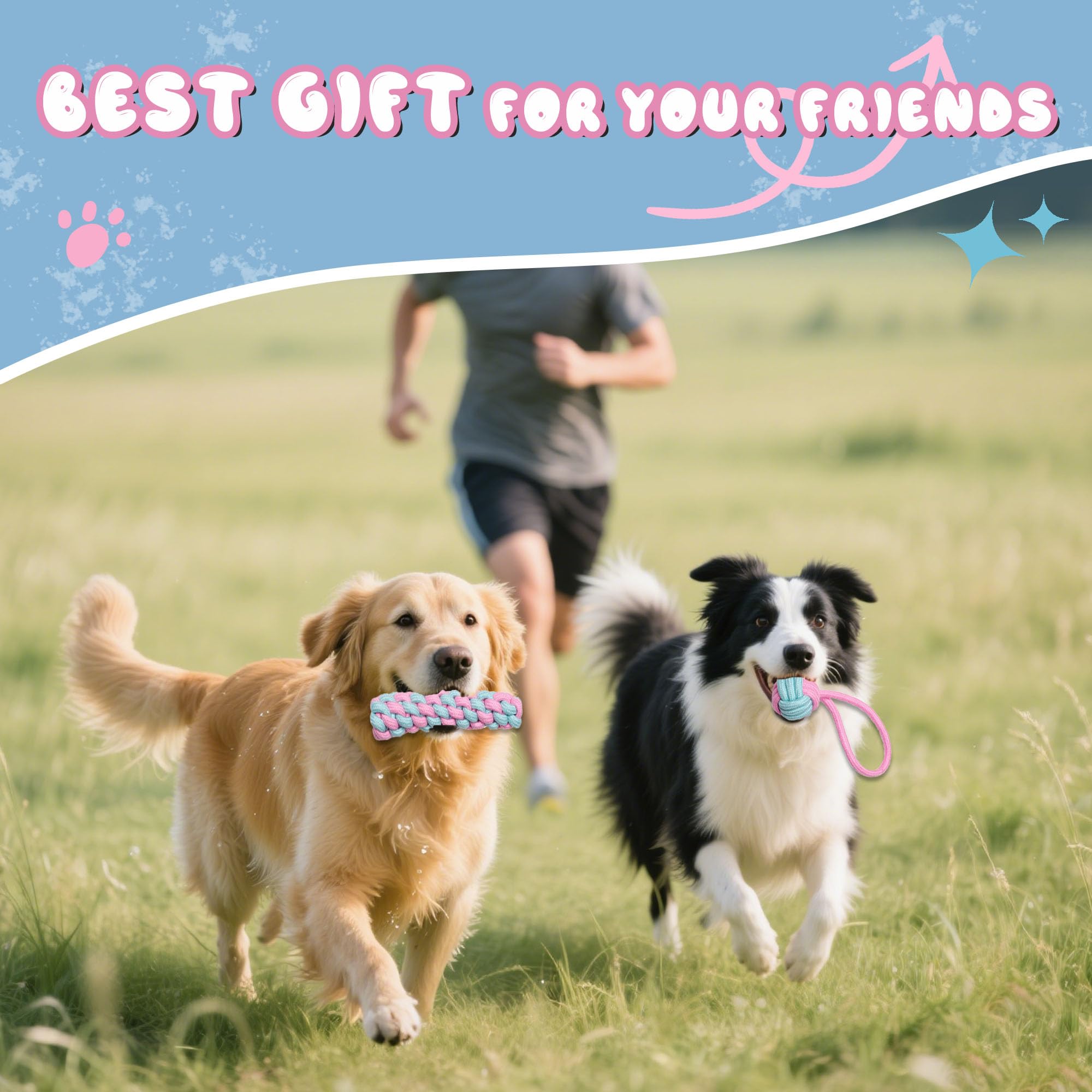 DSUMD tir de traction corde chien: parfait pour jeux intérieurs et extérieurs.