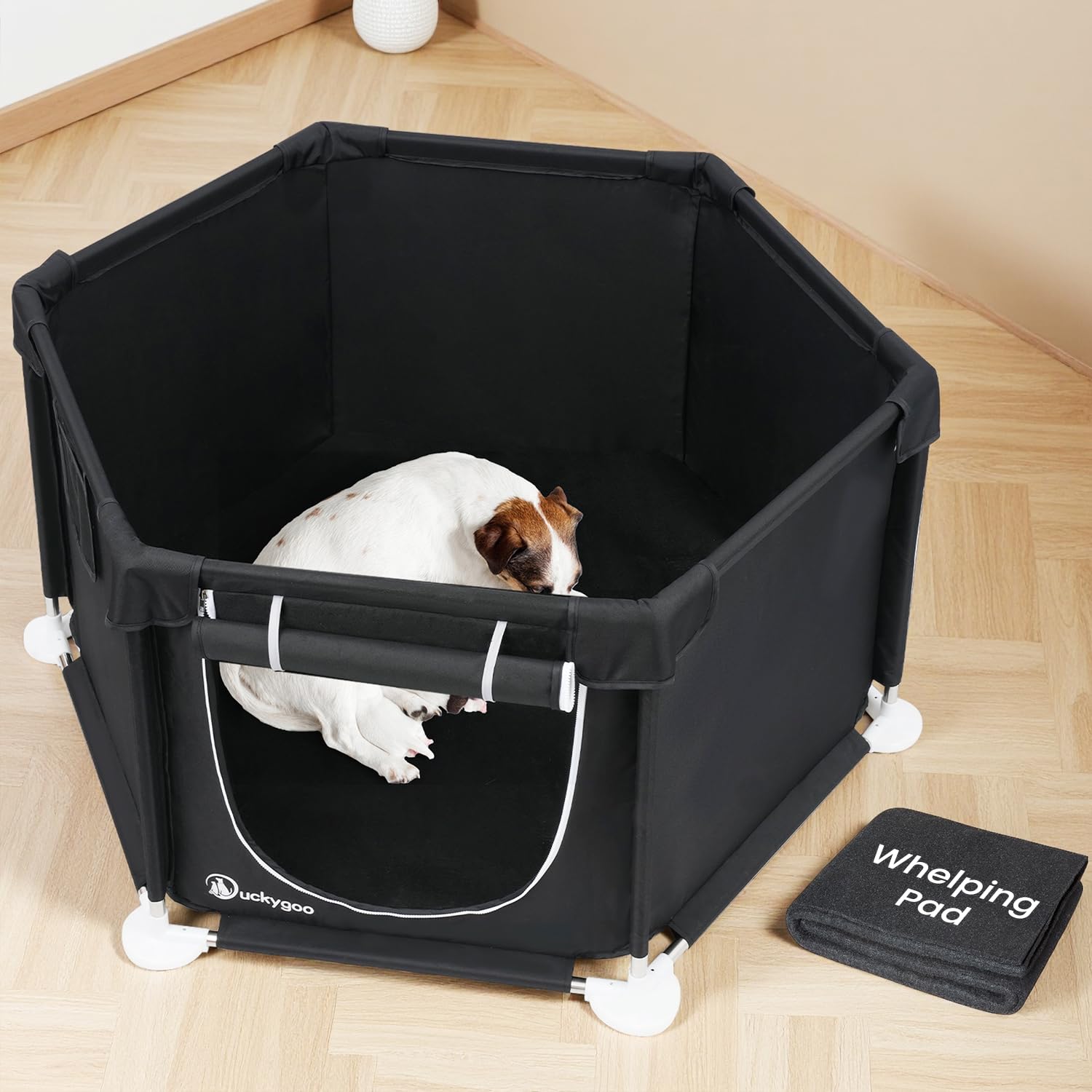 Boîte de mise bas Duckygoo – structure robuste pour sécurité canine