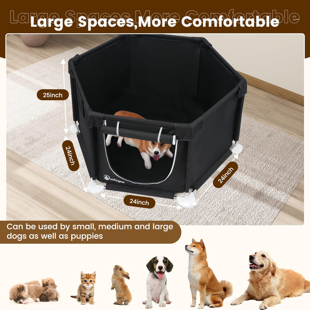 Cadre en acier Duckygoo – stabilité fiable pour chiens de toutes tailles
