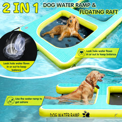 Rampe d'eau pour chien Duckygoo facilitant l’accès à l’eau en toute sécurité.