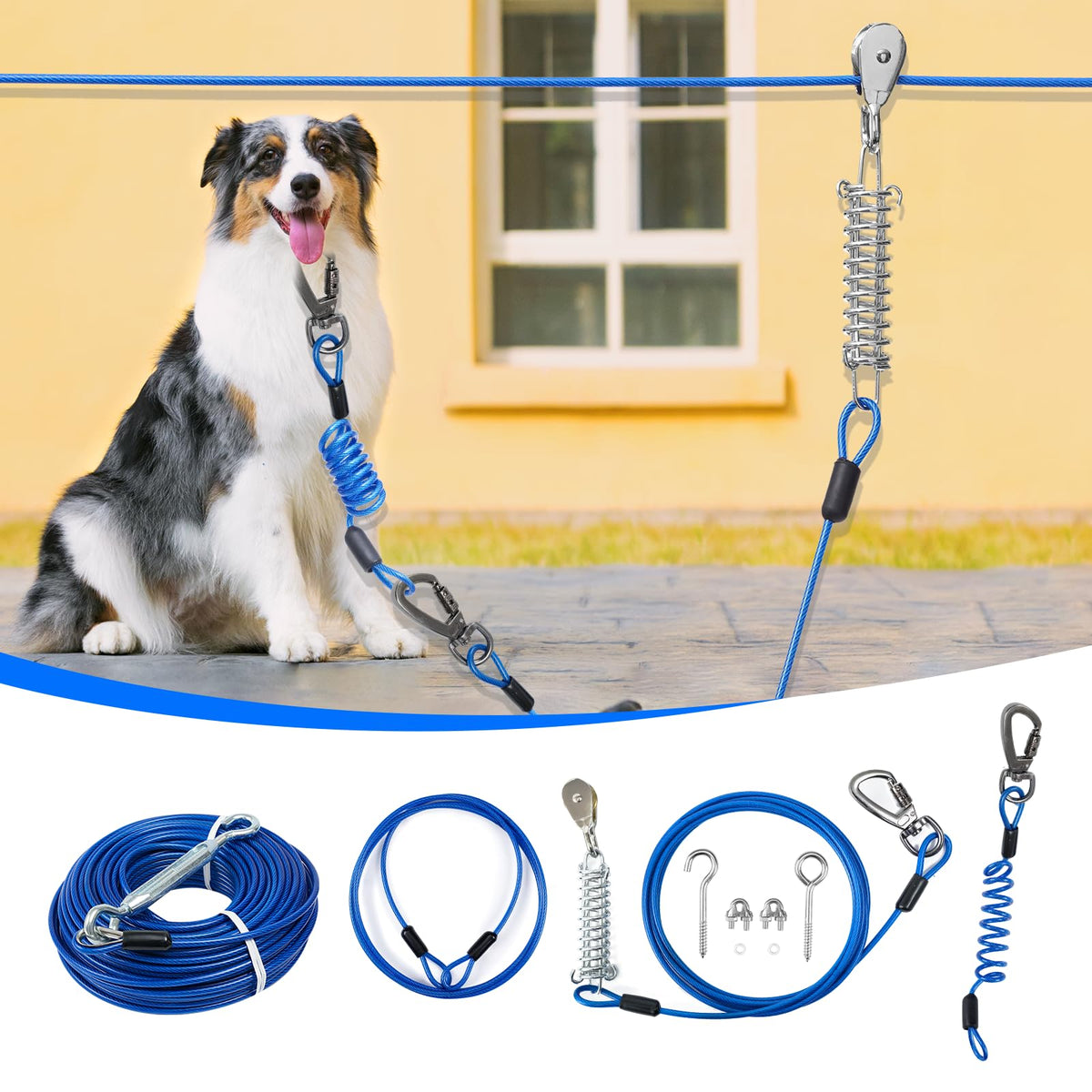 Systeme d entrainement pour chien Duckygoo, liberté et securite en exterieur.