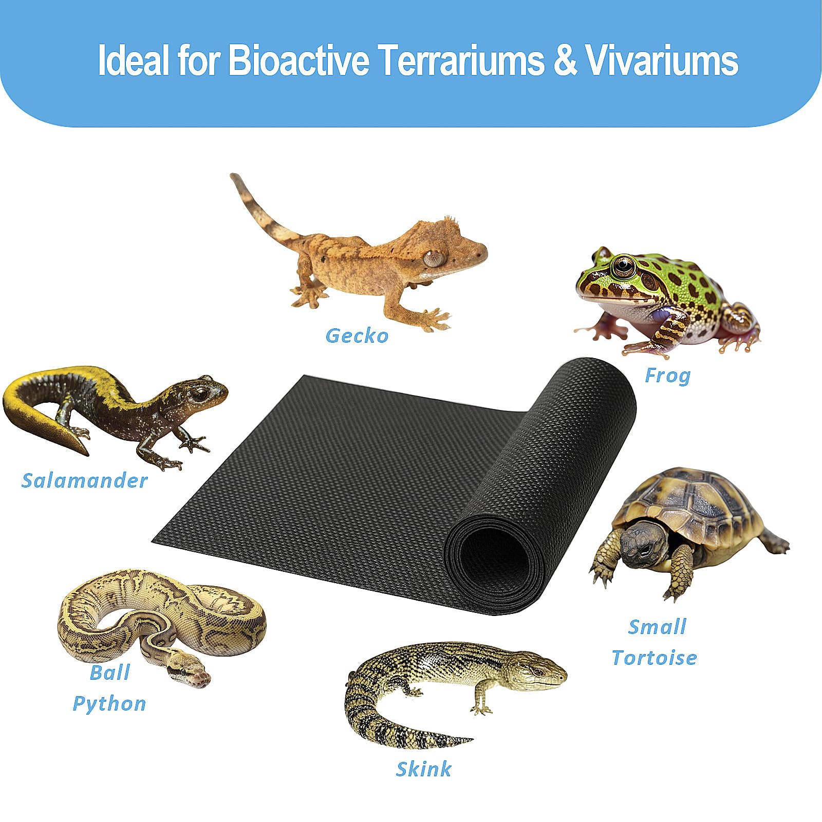 Duedusto barriere substrat terrarium — matériau leger et flexible idéal pour geckos et petits animaux