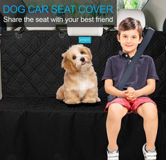 Duke & Dixie: attaches-ceinture-pour-chien assurent la sécurité en voyage.