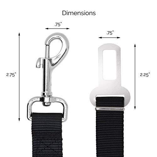 Duke & Dixie nylon durable pour chiens grands, tenue fiable.